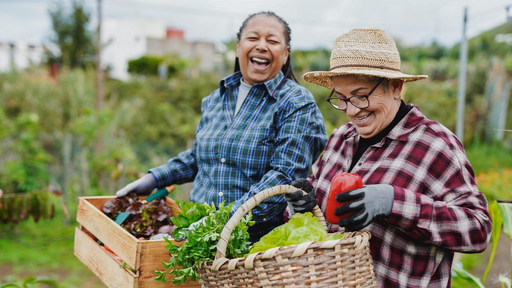 Mujeres campesinas cosechando verduras en el campo colombiano por el Día del Campesino